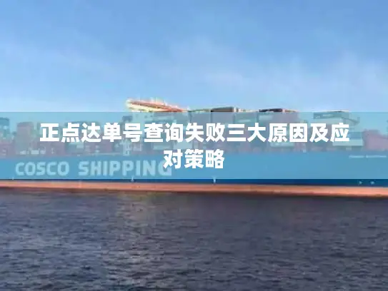 正点达单号查询失败三大原因及应对策略