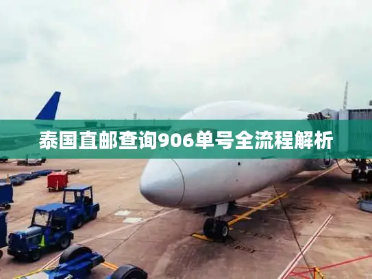 泰国直邮查询906单号全流程解析