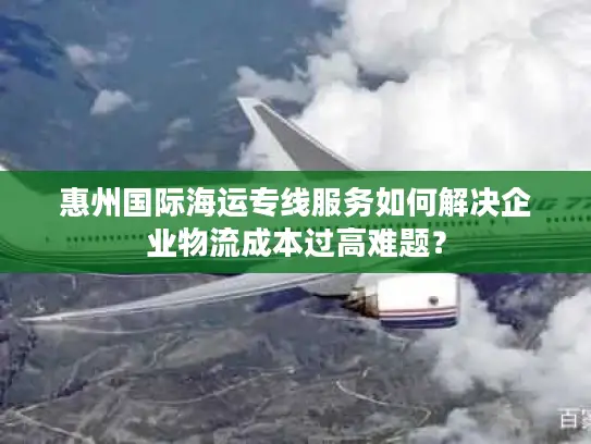 惠州国际海运专线服务如何解决企业物流成本过高难题？
