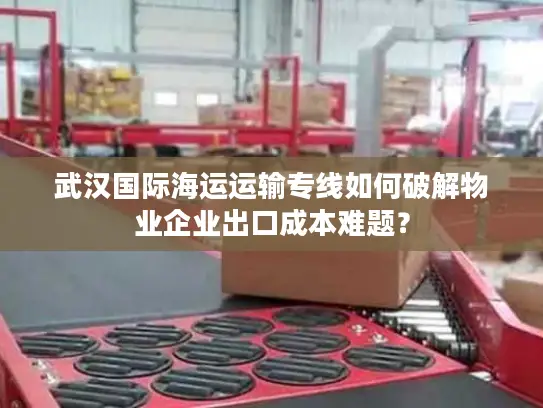 武汉国际海运运输专线如何破解物业企业出口成本难题？