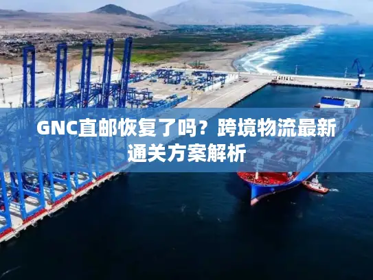 GNC直邮恢复了吗？跨境物流最新通关方案解析