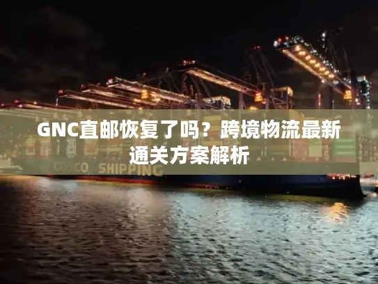 GNC直邮恢复了吗？跨境物流最新通关方案解析