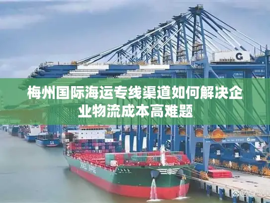 梅州国际海运专线渠道如何解决企业物流成本高难题