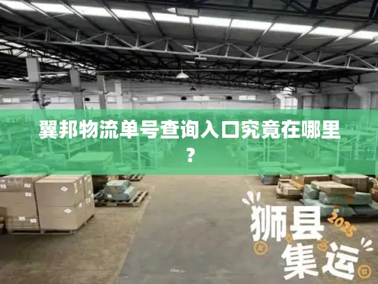 翼邦物流单号查询入口究竟在哪里？