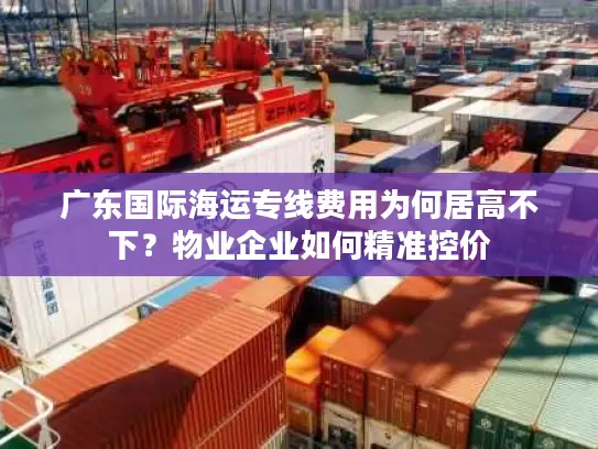 广东国际海运专线费用为何居高不下？物业企业如何精准控价