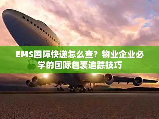 EMS国际快递怎么查？物业企业必学的国际包裹追踪技巧