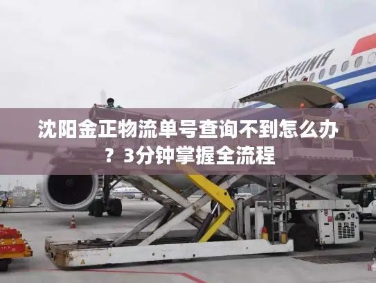 沈阳金正物流单号查询不到怎么办？3分钟掌握全流程