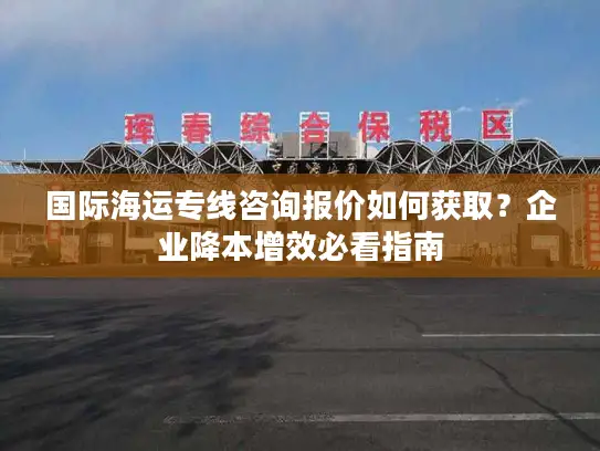 国际海运专线咨询报价如何获取？企业降本增效必看指南