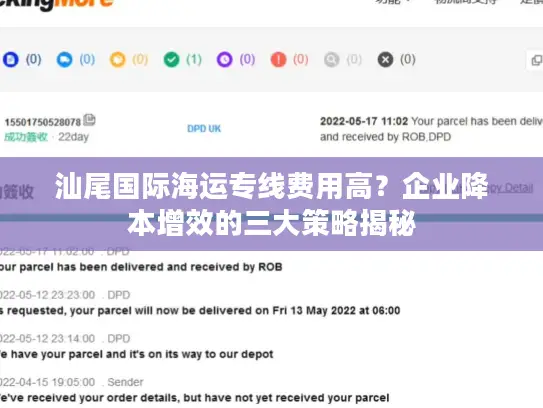 汕尾国际海运专线费用高？企业降本增效的三大策略揭秘