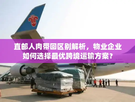 直邮人肉带回区别解析，物业企业如何选择最优跨境运输方案？