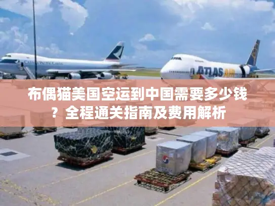 布偶猫美国空运到中国需要多少钱？全程通关指南及费用解析
