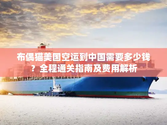 布偶猫美国空运到中国需要多少钱？全程通关指南及费用解析