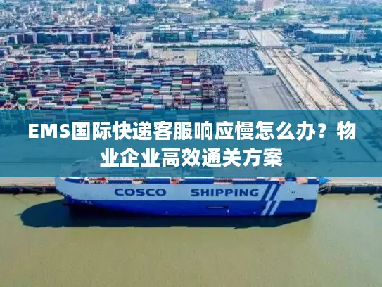 EMS国际快递客服响应慢怎么办？物业企业高效通关方案