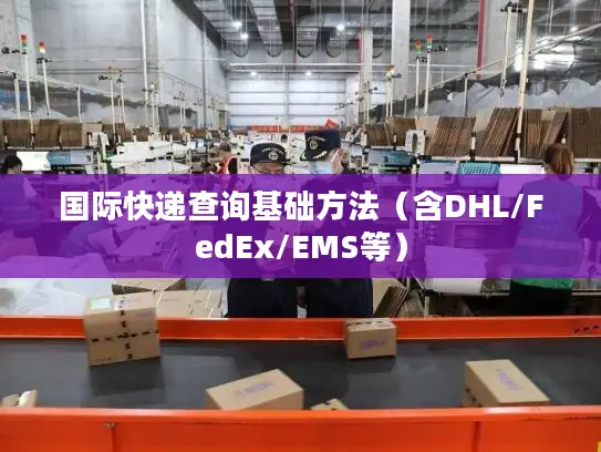 国际快递查询基础方法（含DHL/FedEx/EMS等）