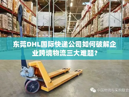 东莞DHL国际快递公司如何破解企业跨境物流三大难题？
