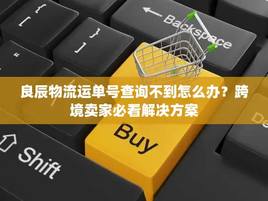 良辰物流运单号查询不到怎么办？跨境卖家必看解决方案