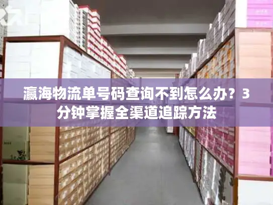 瀛海物流单号码查询不到怎么办？3分钟掌握全渠道追踪方法