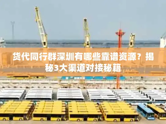 货代同行群深圳有哪些靠谱资源？揭秘3大渠道对接秘籍