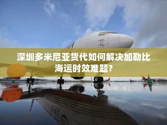 深圳多米尼亚货代如何解决加勒比海运时效难题？