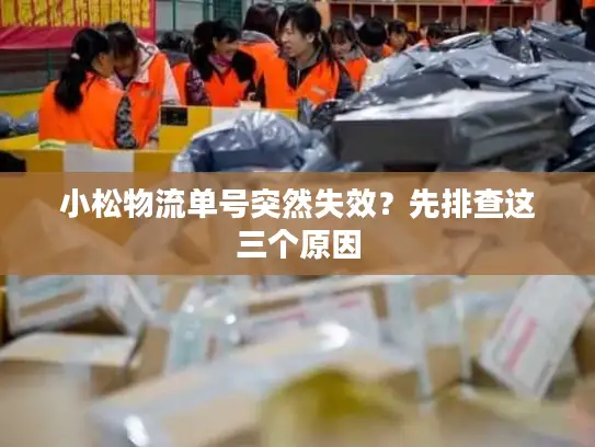 小松物流单号突然失效？先排查这三个原因