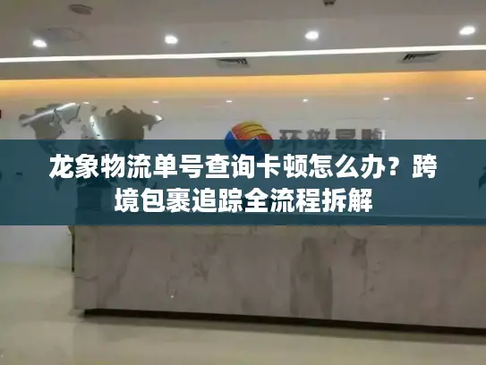 龙象物流单号查询卡顿怎么办？跨境包裹追踪全流程拆解