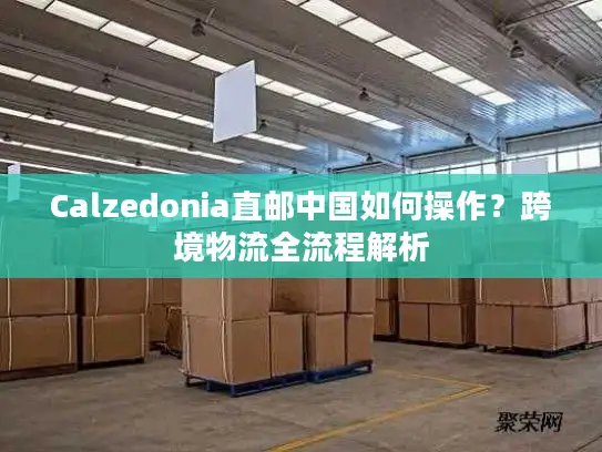Calzedonia直邮中国如何操作？跨境物流全流程解析