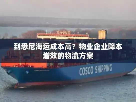 到悉尼海运成本高？物业企业降本增效的物流方案