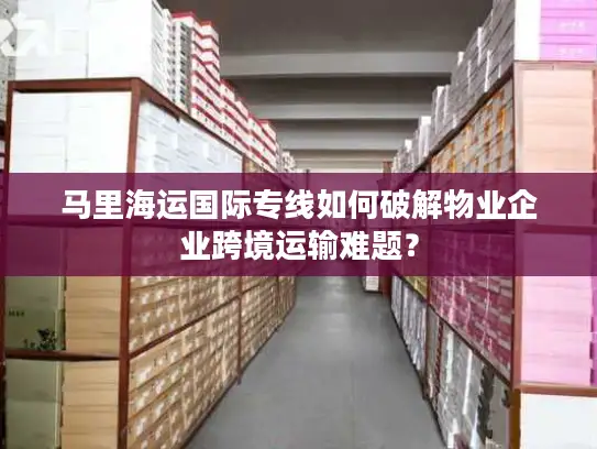 马里海运国际专线如何破解物业企业跨境运输难题？