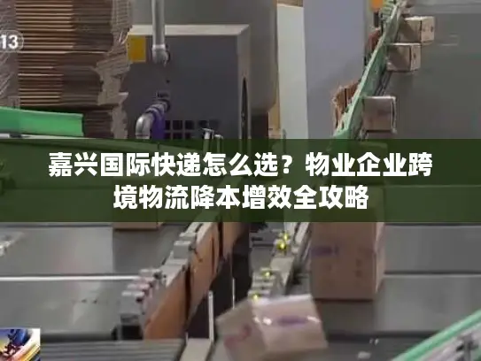 嘉兴国际快递怎么选？物业企业跨境物流降本增效全攻略