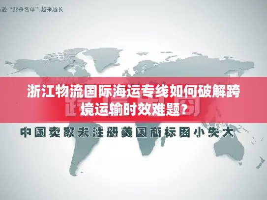 浙江物流国际海运专线如何破解跨境运输时效难题？