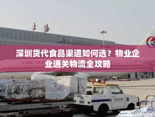 深圳货代食品渠道如何选？物业企业通关物流全攻略
