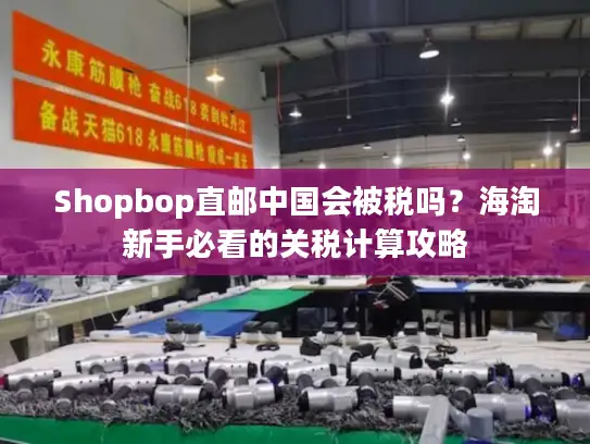 Shopbop直邮中国会被税吗？海淘新手必看的关税计算攻略