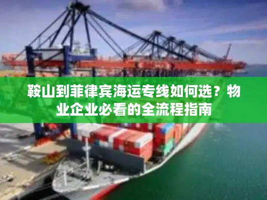 鞍山到菲律宾海运专线如何选？物业企业必看的全流程指南