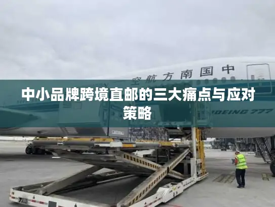 中小品牌跨境直邮的三大痛点与应对策略