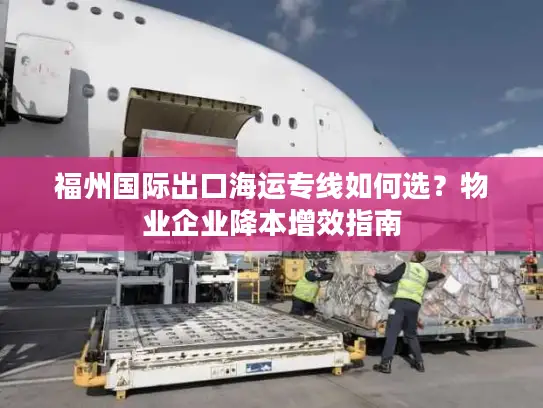福州国际出口海运专线如何选？物业企业降本增效指南