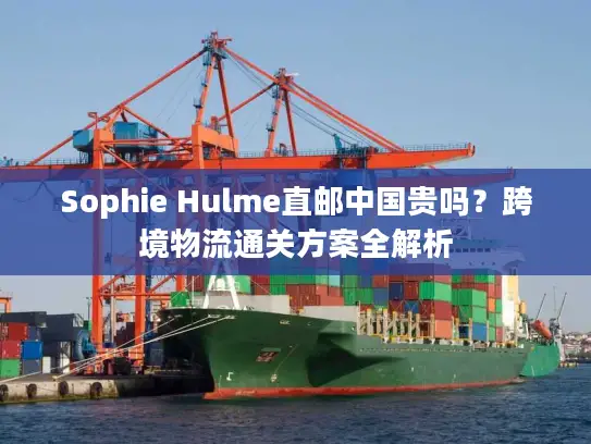 Sophie Hulme直邮中国贵吗？跨境物流通关方案全解析