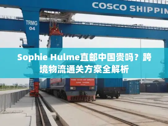 Sophie Hulme直邮中国贵吗？跨境物流通关方案全解析