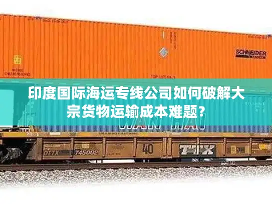 印度国际海运专线公司如何破解大宗货物运输成本难题？