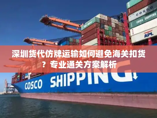 深圳货代仿牌运输如何避免海关扣货？专业通关方案解析