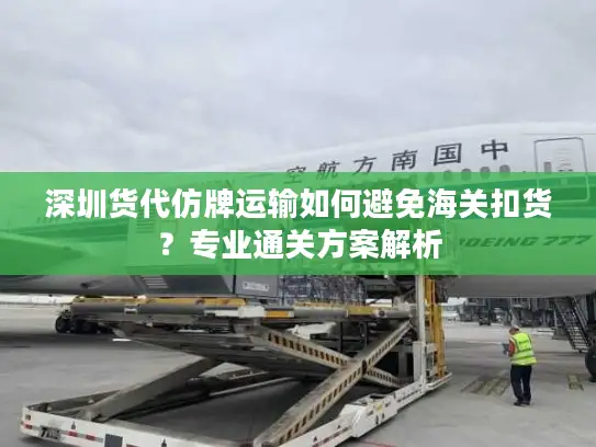 深圳货代仿牌运输如何避免海关扣货？专业通关方案解析