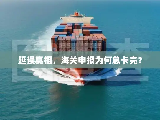 延误真相，海关申报为何总卡壳？