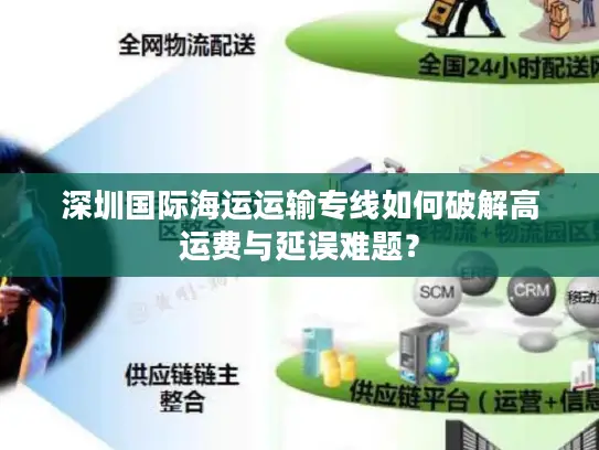 深圳国际海运运输专线如何破解高运费与延误难题？
